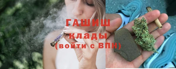 индика Невьянск