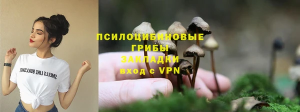 ALPHA-PVP Богородицк