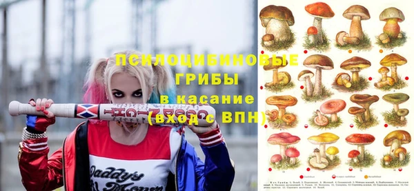 герыч Богородск