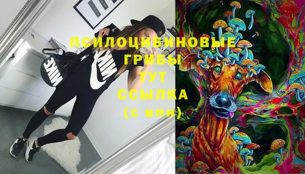 герыч Богородск