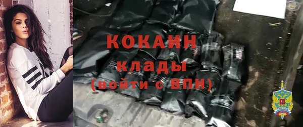 ALPHA-PVP Богородицк